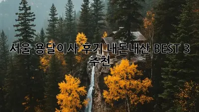 서울 용달이사 후기: 내돈내산 BEST 3 추천!